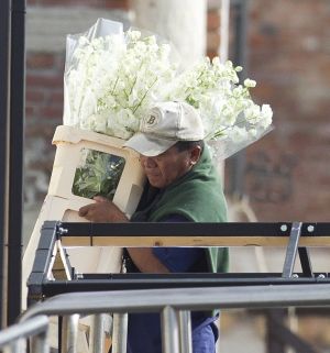 George and Amal wedding - Workers could be seen hauling in vast bouquets of ivory flowers.jpg